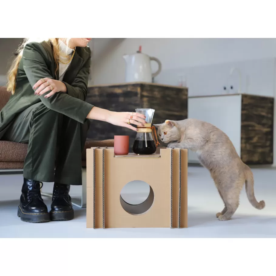 KarTent Katzenwurfel Aus Pappe> Haustiere